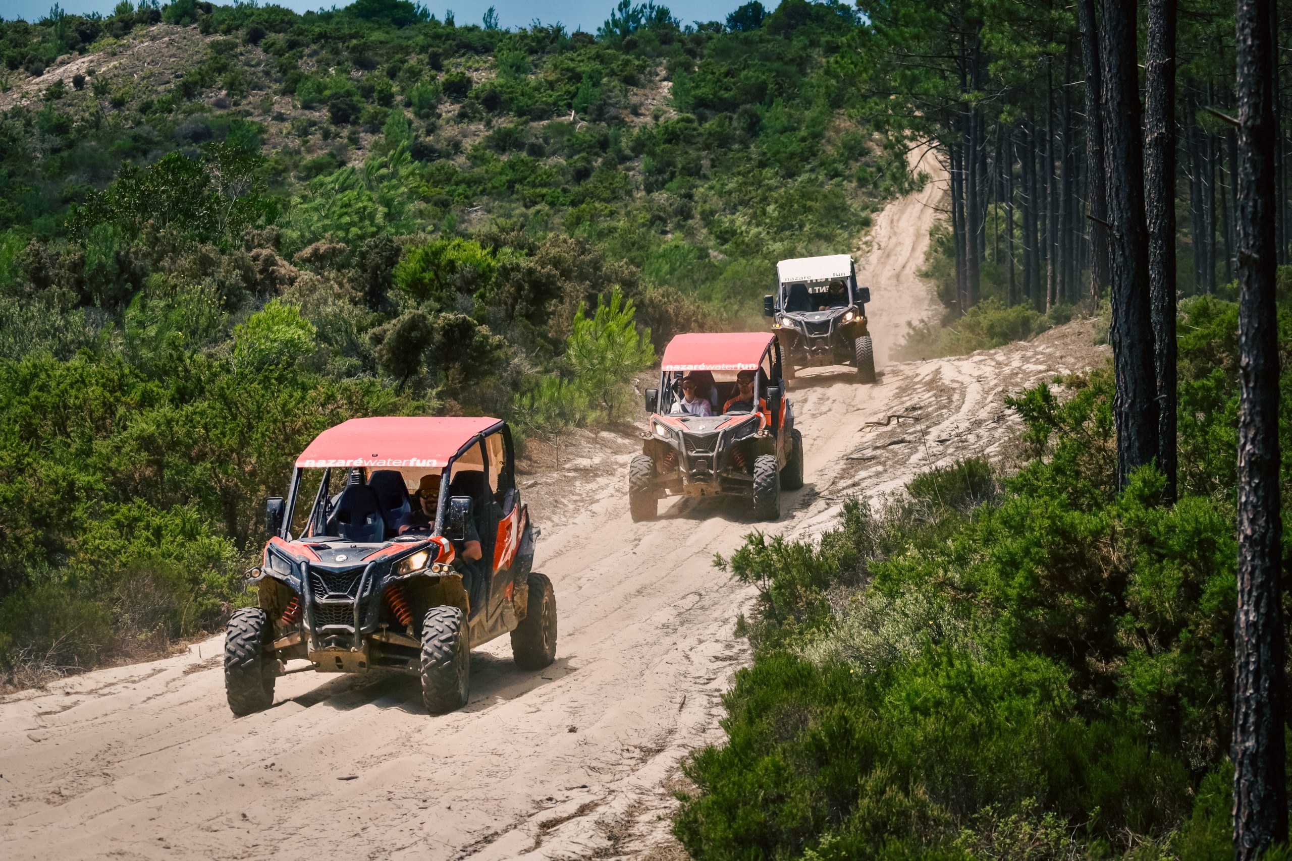 buggies_Edited_02