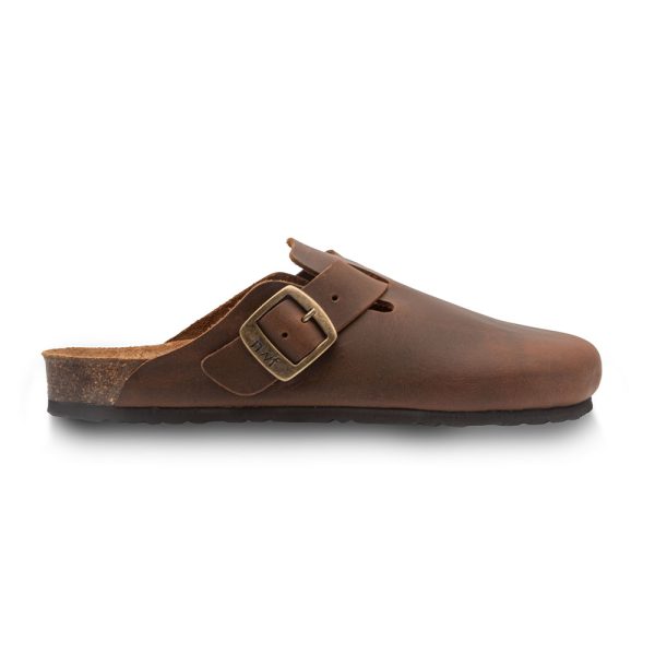 Socos Camel – Image 3